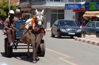 Her anı güzel KARAKOÇAN