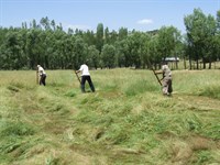 Her anı güzel KARAKOÇAN